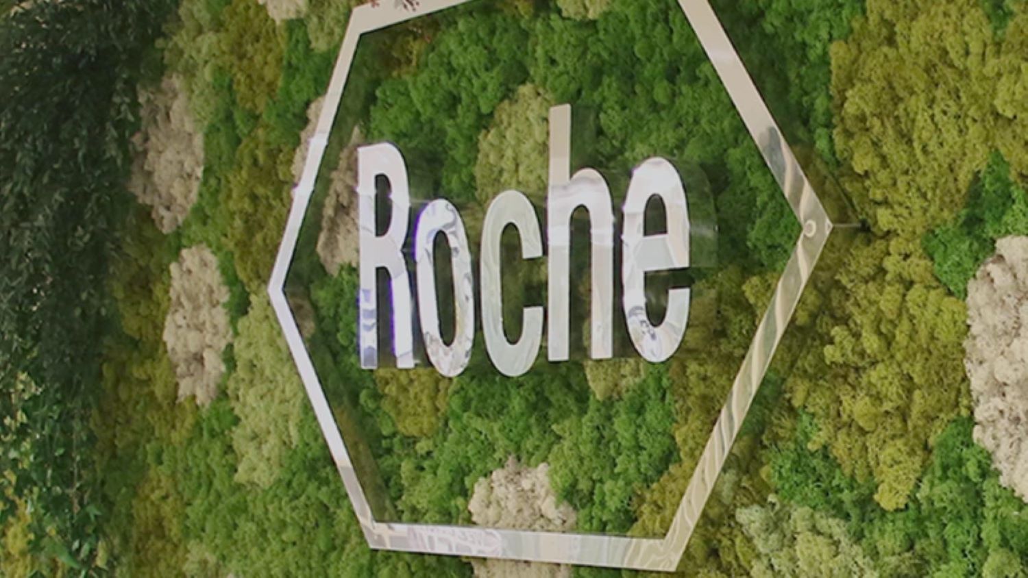 Roche, los catalizadores neurológicos serán la prueba de que el ‘Bar’ funciona