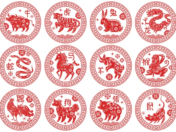 signos Merca2