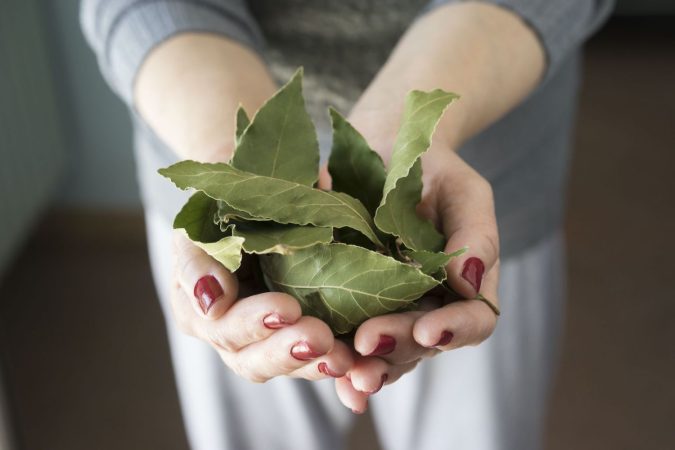 La lavadora no hace la colada perfecta, sólo el laurel tiene ese poder
