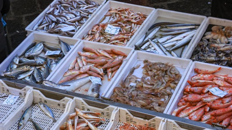 Descubre estos pescados que tienen mas Omega 3 que el salmon y son mucho mas baratos 5 Merca2.es