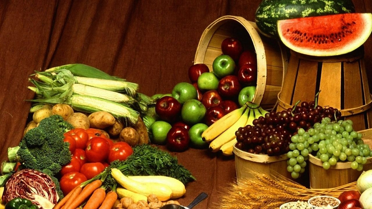 DESARROLLO DE PRODUCTOS PALEO