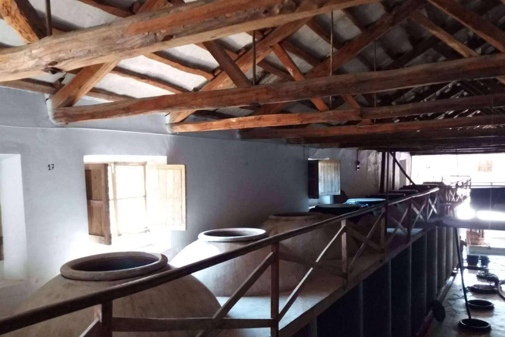 Producción orgánica y de calidad en Bodega Cantos