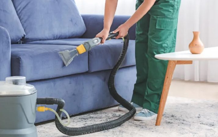 Consejos para cuidar tu nuevo protagonista de sala