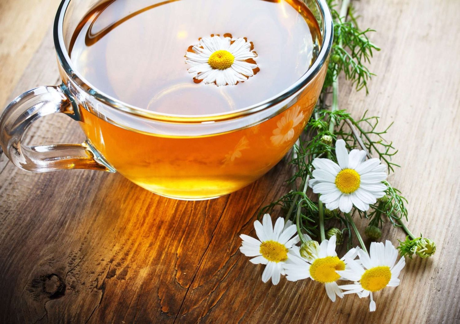 te de manzanilla infusión