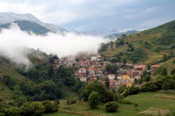 treviso Merca2