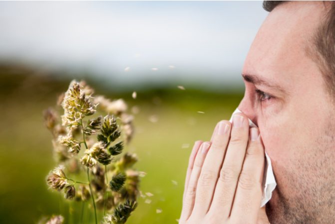 Alergia al polen: síntomas y causas en primavera