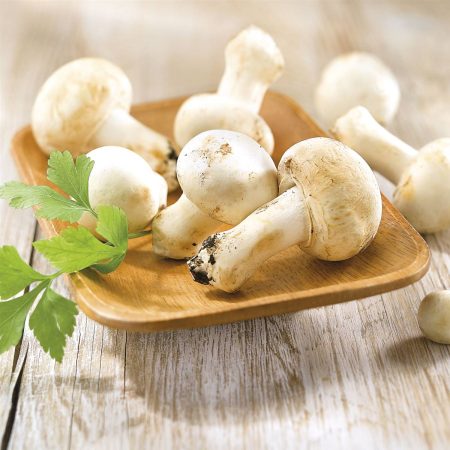 ¿Qué alimentos son ricos en este mineral?