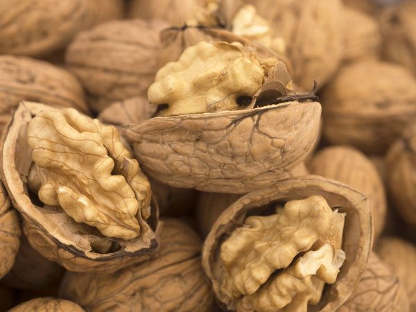 ¿Cómo incorporar las nueces a tu dieta?
