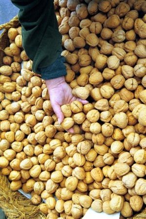 Más allá del sueño: Un escudo para tu salud