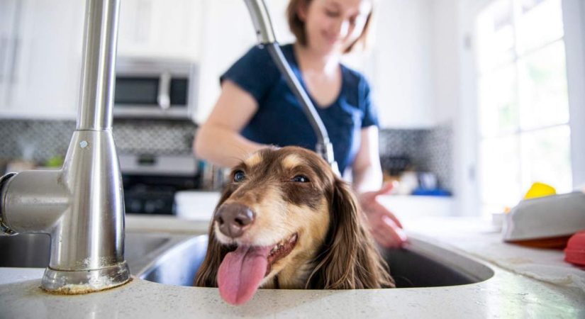 Sigue leyendo para descubrir: