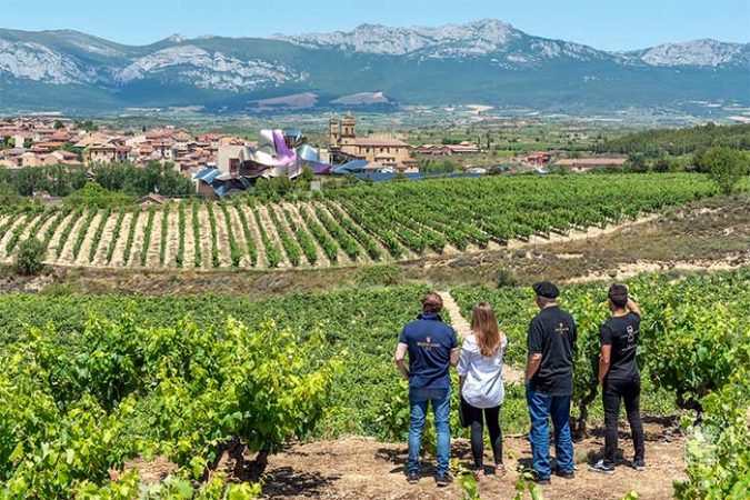 Lo que te contaremos en este post