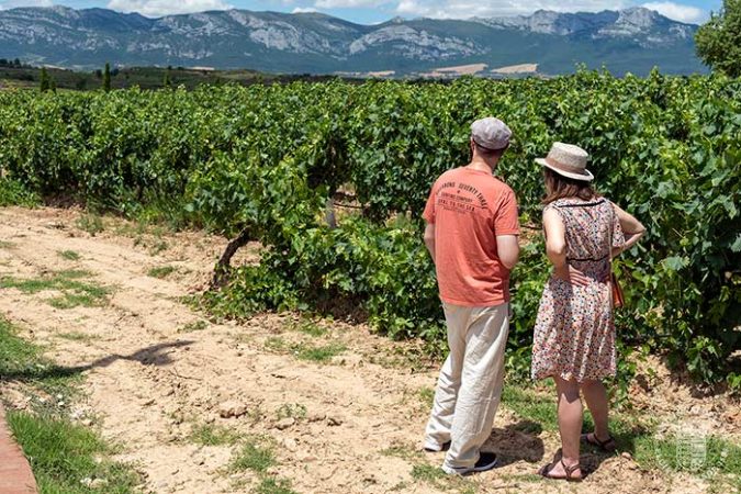 Más que una bebida: El vino como cultura y pasión en Rioja Alavesa