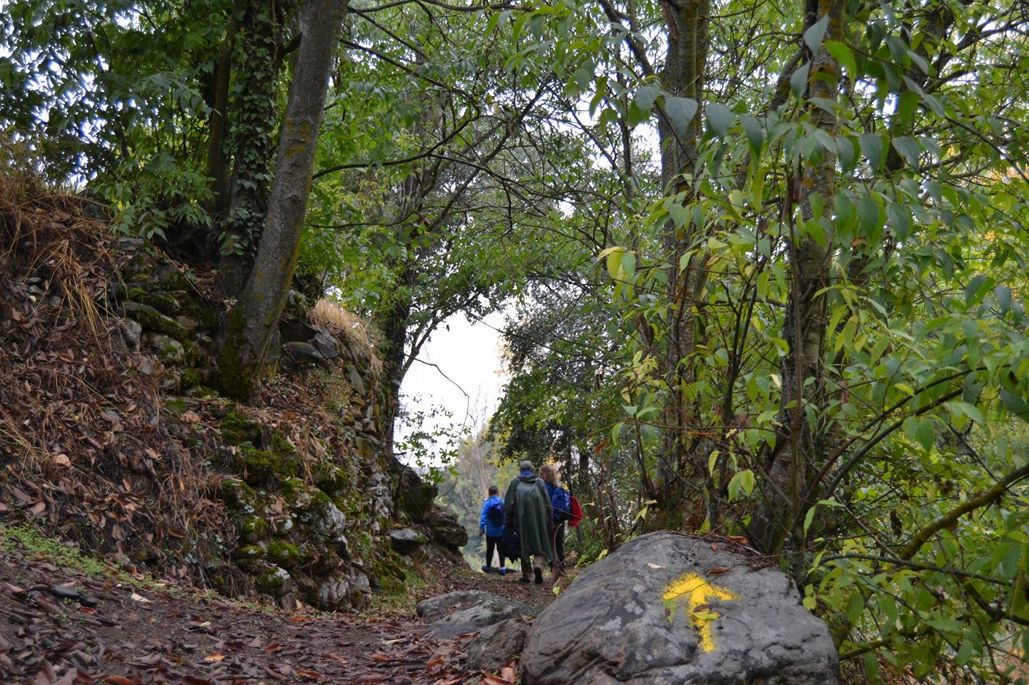 Senderismo fácil cerca de la capital: tres rutas imperdibles