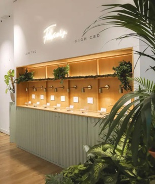 dise&ntilde;o tienda