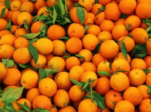Esta fruta rica en cítricos te hará sentirte liviano y te ayudará a elevar tus defensas: No es la naranja