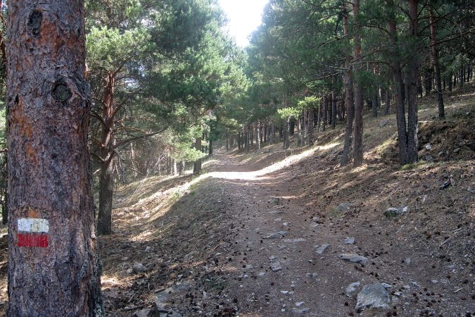 Senderismo fácil cerca de Madrid: tres rutas imperdibles 4 Merca2.es SENDERISMO: MONTE ABANTOS