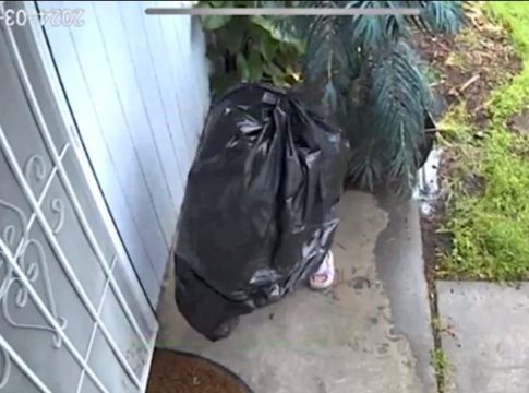 ladron-bolsa-basura El video viral del hombre se disfrazó de bolsa de basura para robar afuera de una casa ¡y funciona!
