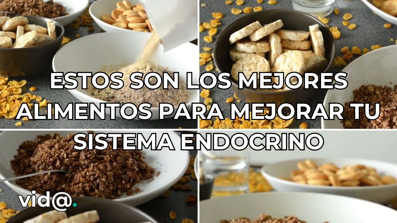Los mejores alimentos para mejorar tu sistema endocrino