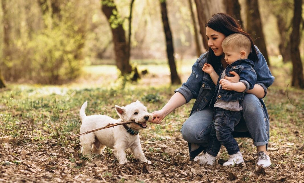 Si tienes hijos, ¡no tengas estos perros en tu casa!