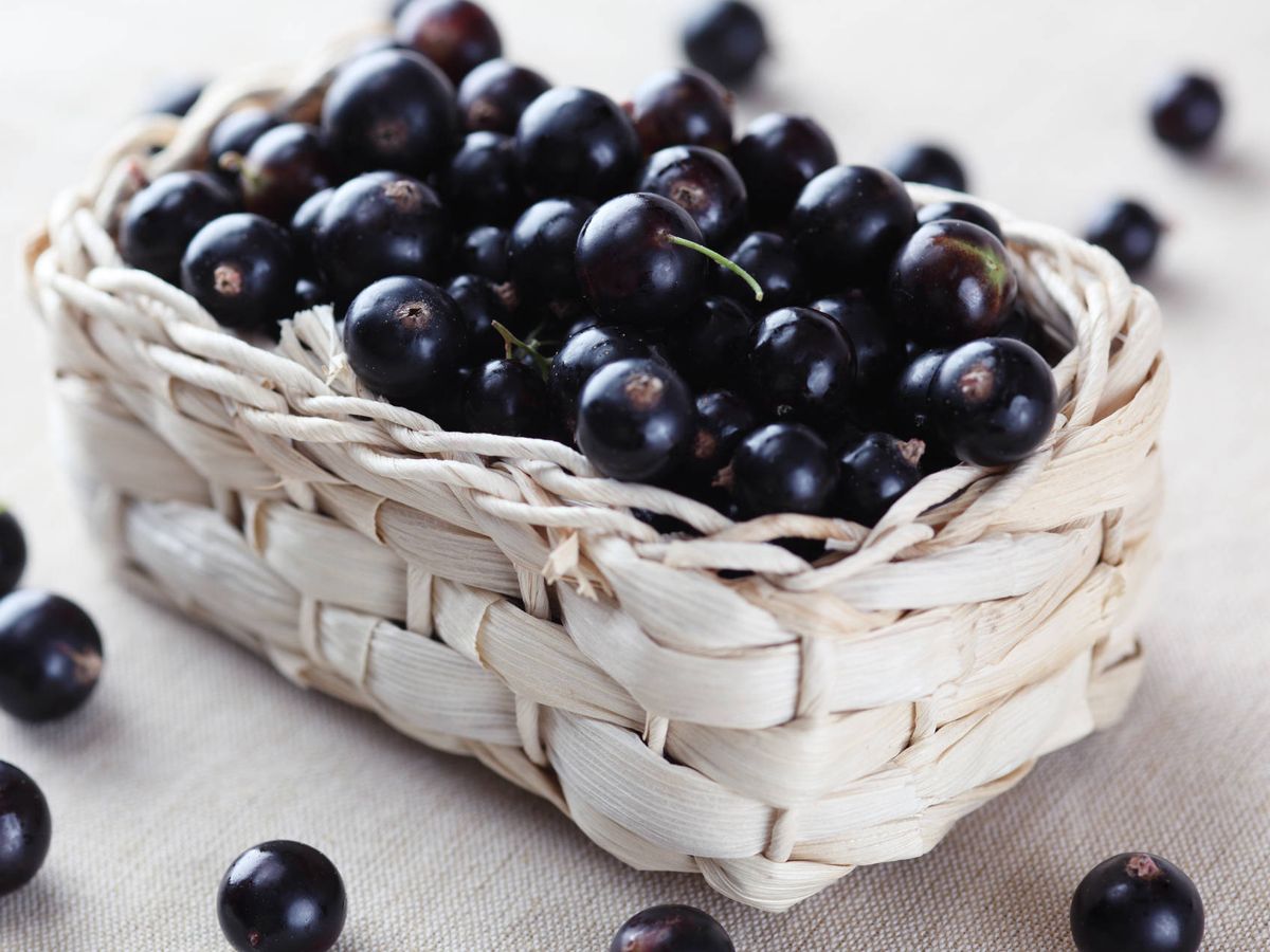 Quemar grasa sin ir al gimnasio: esta fruta te ayuda a perder 3 kilos 2 Merca2.es La clave para bajar de peso: las antocianinas
