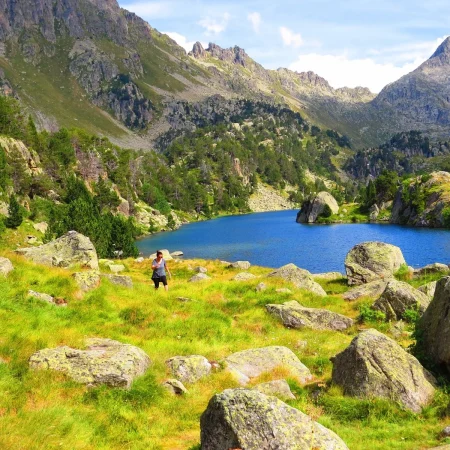 7 colomers Merca2.es