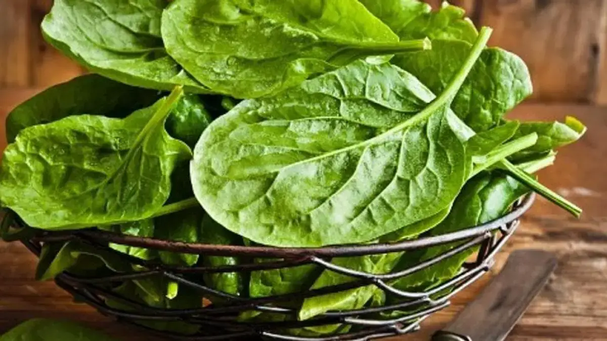Espinacas 0 Espinacas al rescate: Mejora tu colesterol de manera natural y deliciosa