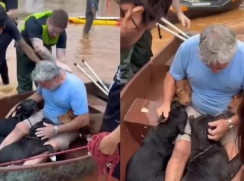 Hombre salva a sus perros en Brasil Lluvias en Brasil: No se rinde y salva a sus hijos que no llevan su apellido