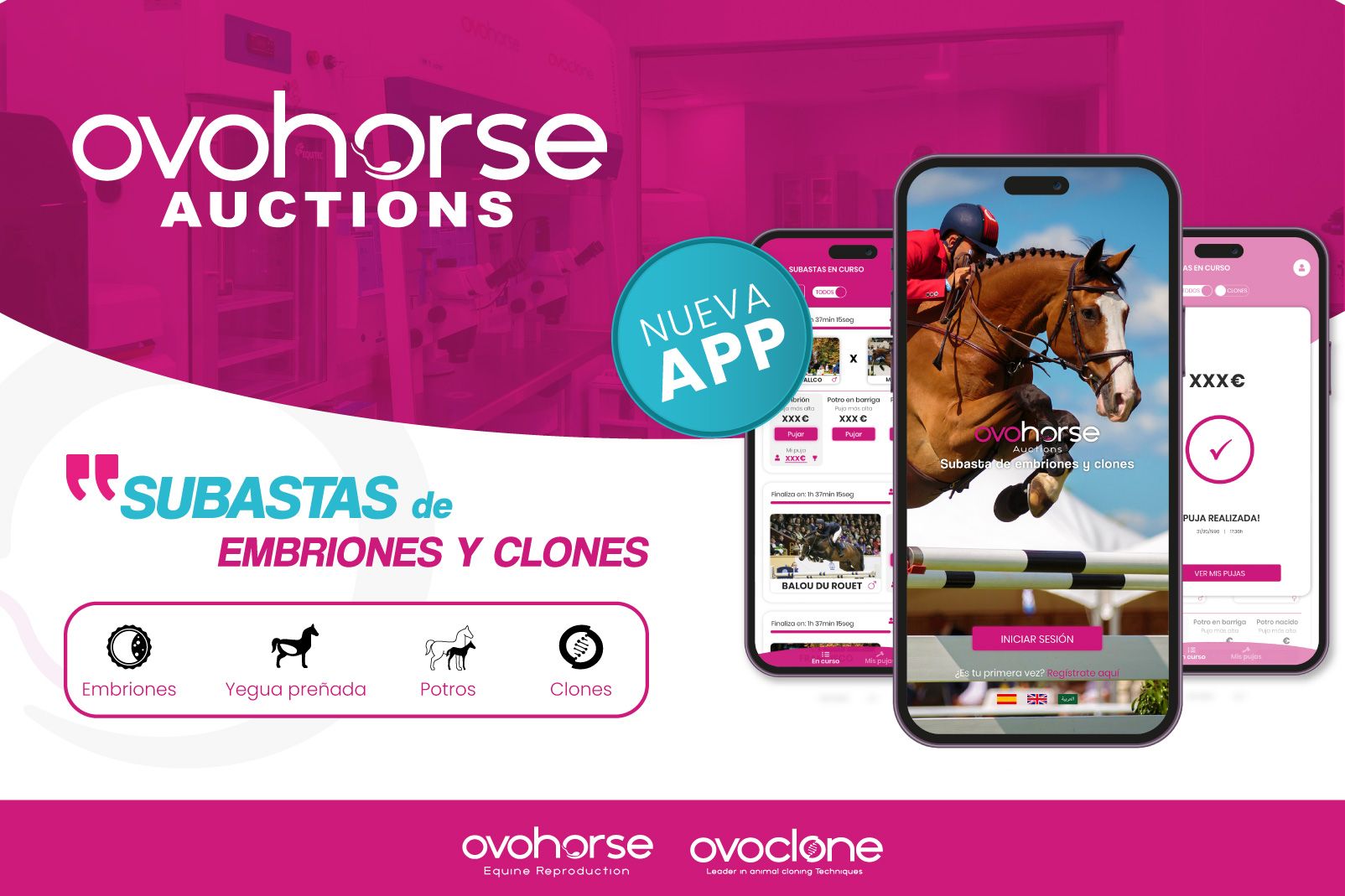 La App de subastas Ovohorse Auctions lanza un embrión de "Chacco Blue"