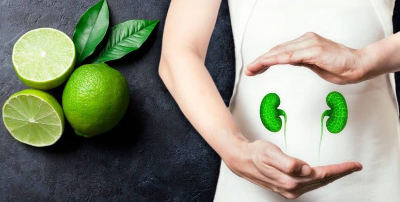 Toma esta bebida todas las mañanas y tus riñones te lo agradecerán 1 Merca2.es BEBIDA