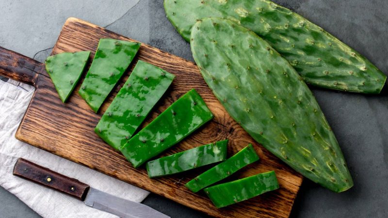 Descubre el poder del cactus, un superalimento lleno de beneficios para tu cuerpo 1 Merca2.es EL CACTUS, UN TESORO NUTRICIONAL EN EL DESIERTO