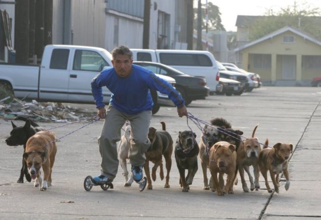 cesar millan perros Merca2.es