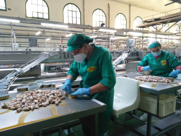 chipirones a mano Merca2.es