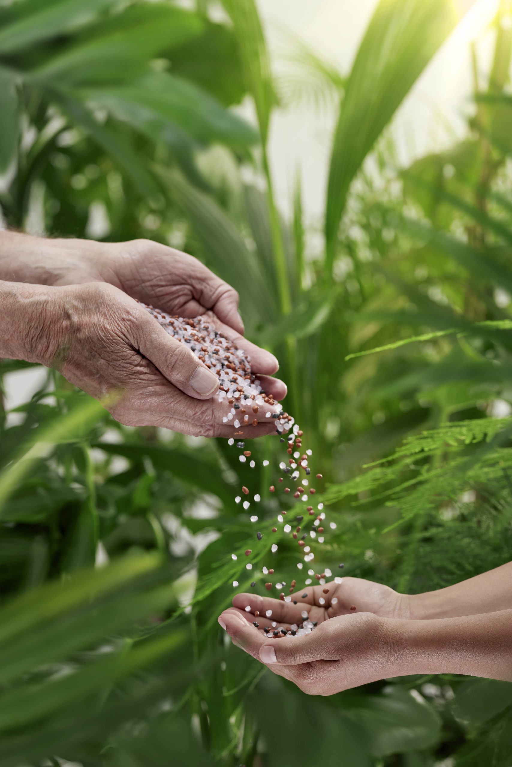elho marca un hito significativo hacia el uso del 100% de plástico reciclado