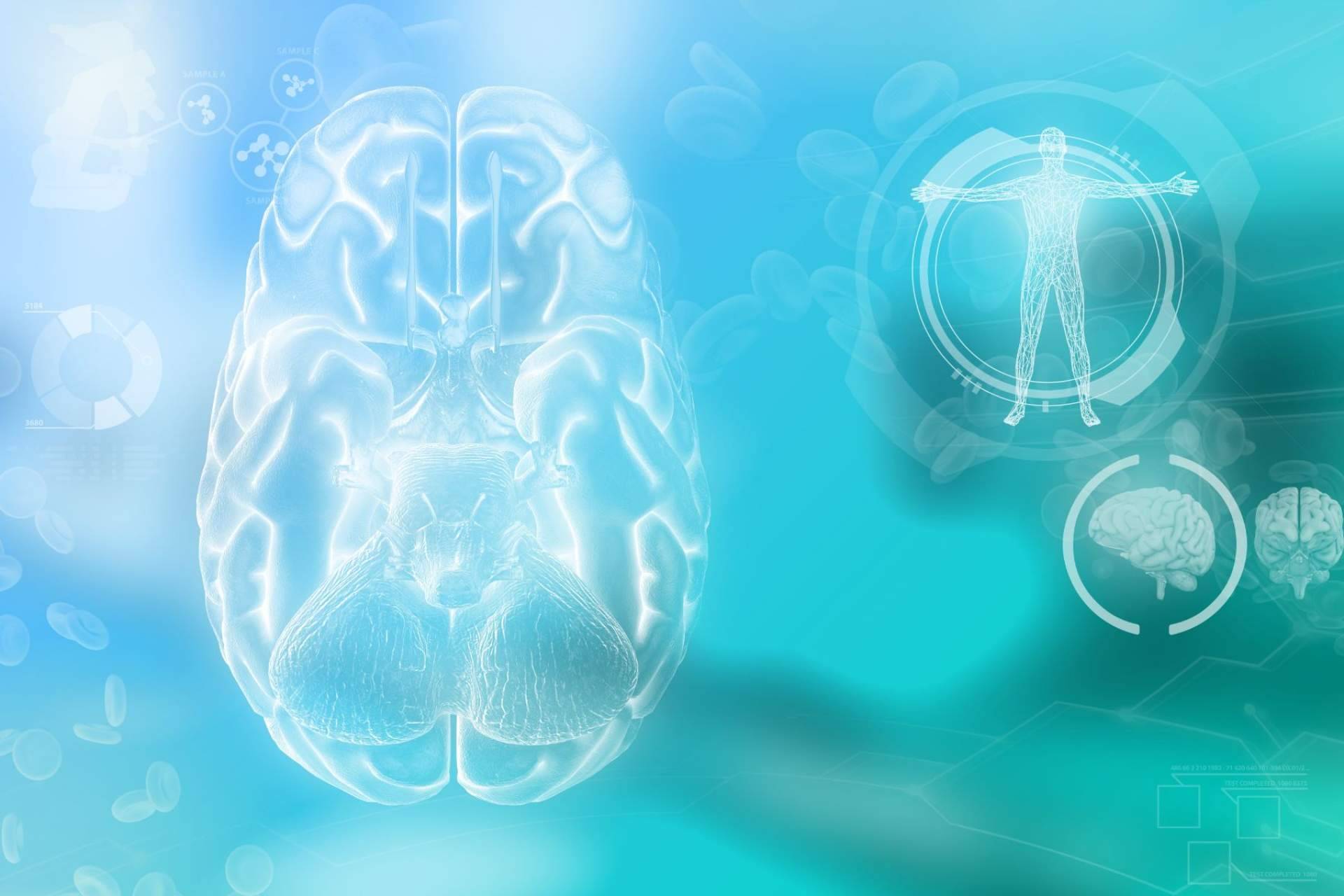 Psicólogo Viladecans; Serveis Atenció Terapèutica