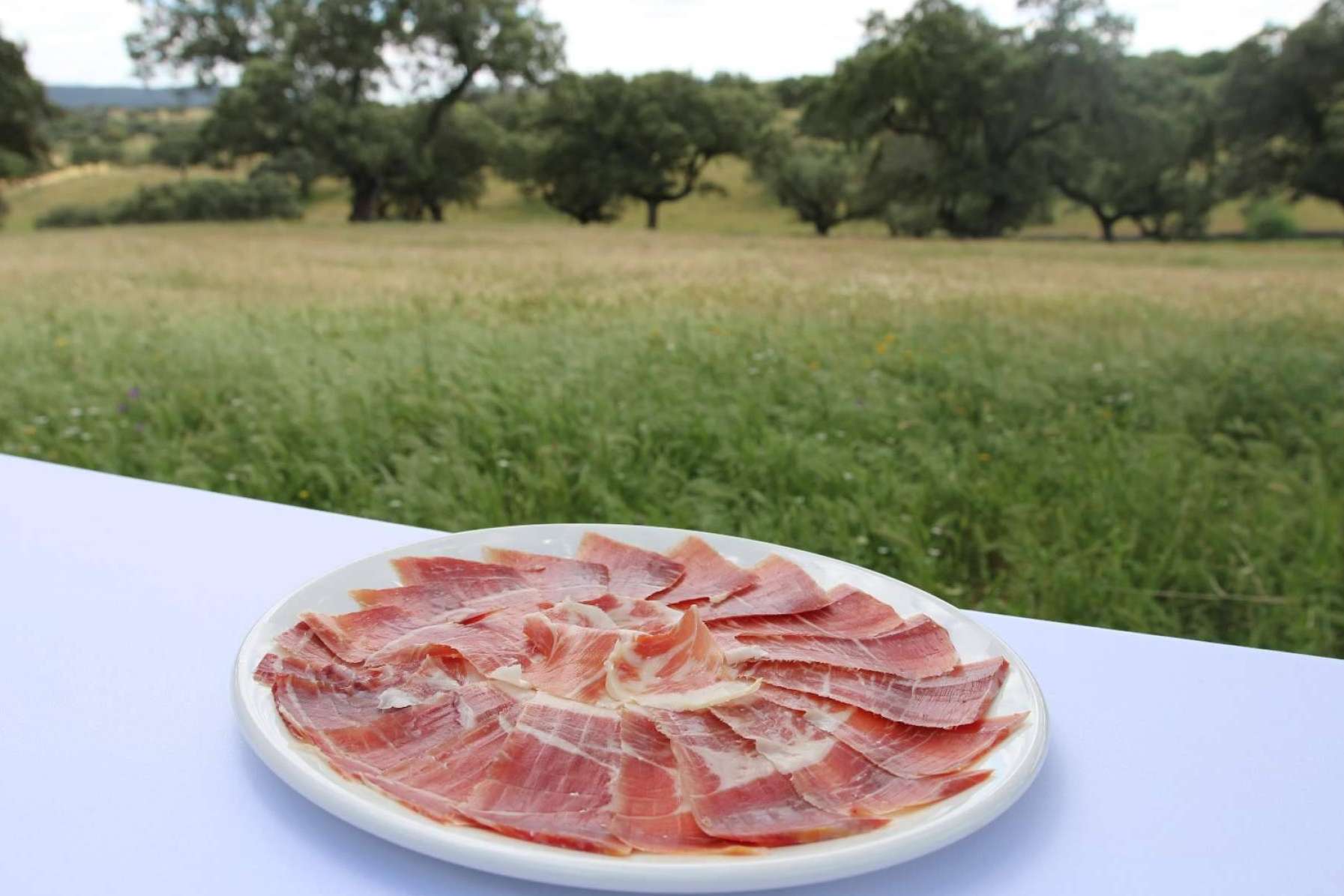 ¡Este Día de la Madre se puede regalar amor y sabor!