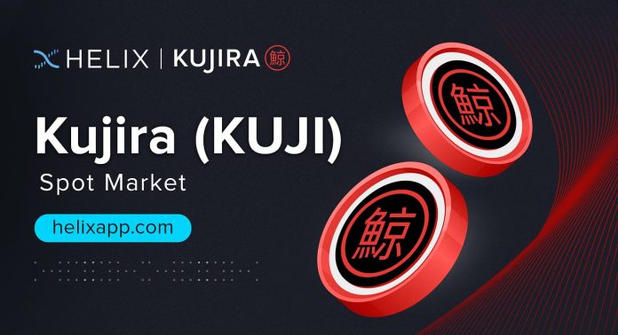 kuji kujira 3 criptomonedas claves para invertir en mayo: Opciones y precios