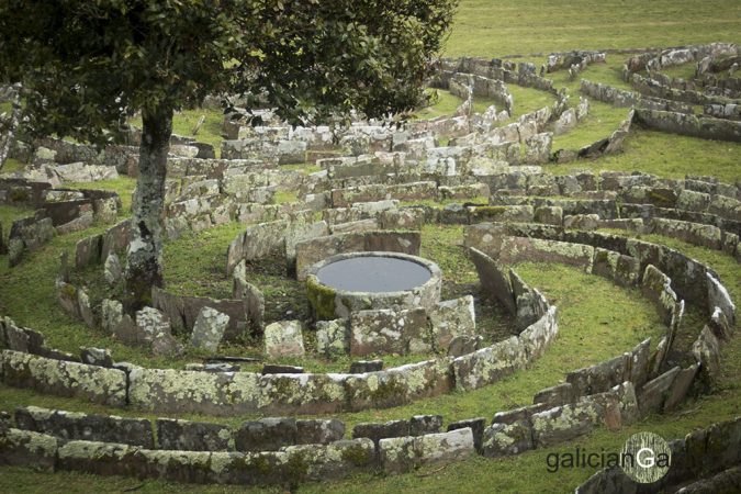 laberinto pazo tor galiciangarden 41 Merca2.es