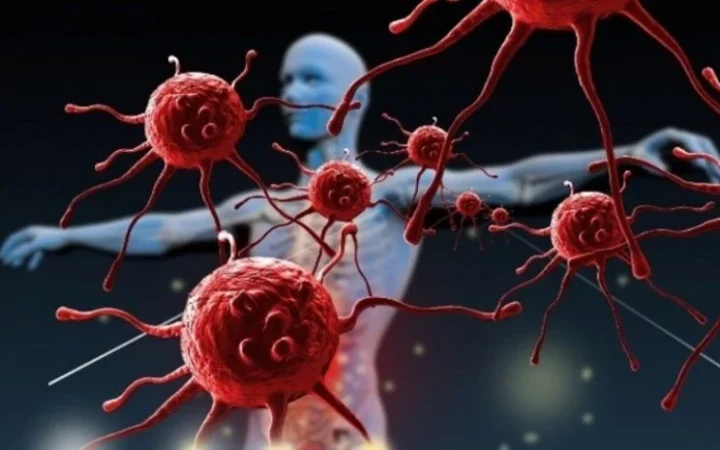 sistema inmune 744x465 1 Merca2.es