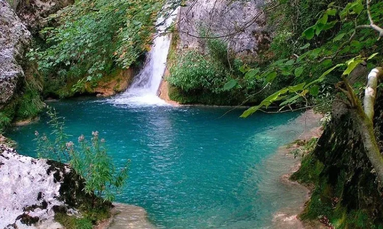 4283942464 b2626e3e3a b 54 800x479 1 Merca2.es