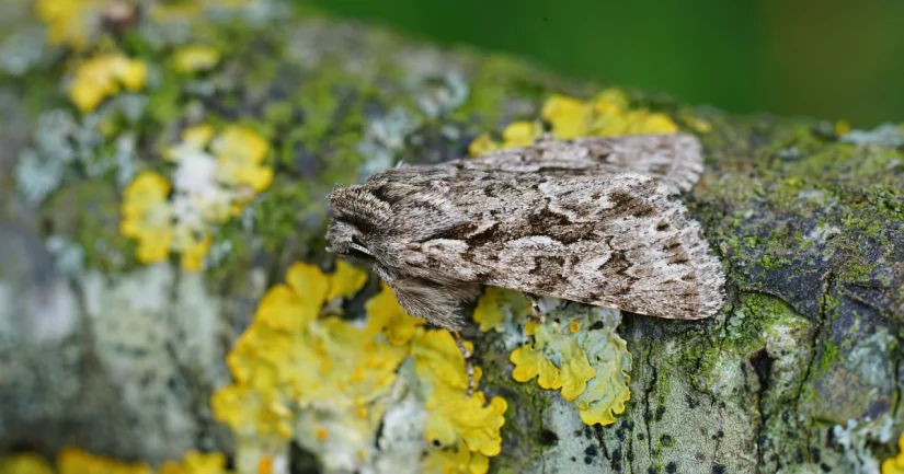 6485eba9dfc3d Merca2.es