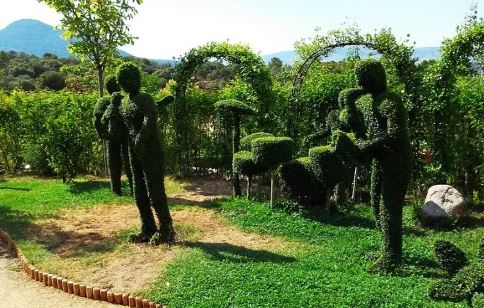 BosqueEncantado1 800x510 1 Merca2.es