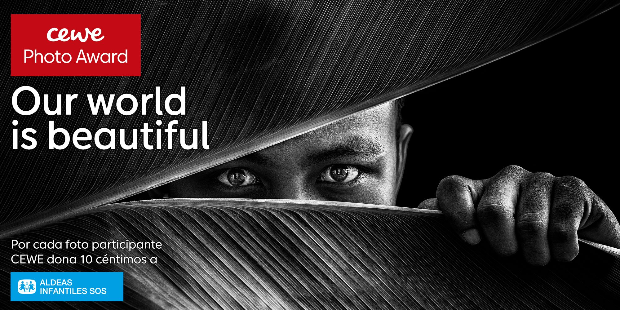 Concurso de Fotografía de CEWE, regresa el certamen de fotografía para profesionales y aficionados