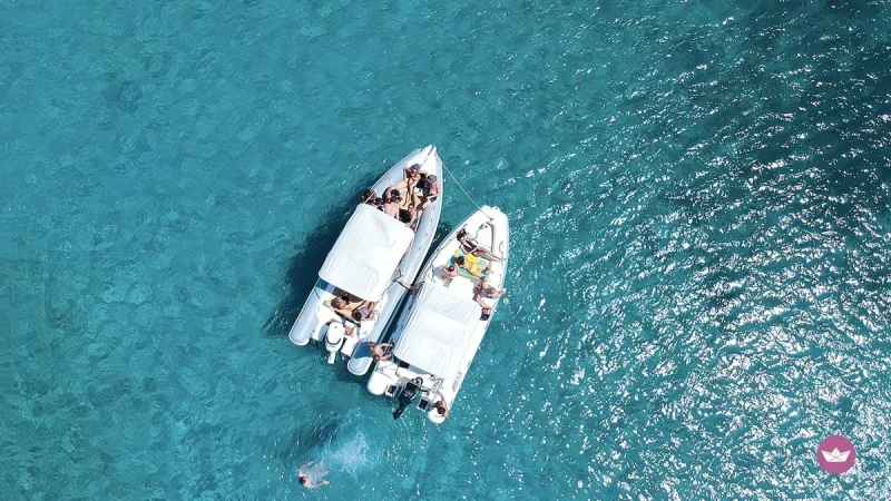 E6ulfCEWYCAVFCi Merca2.es