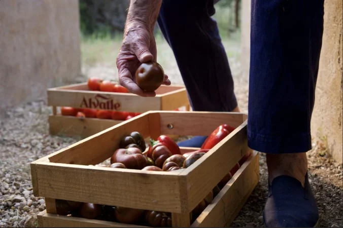 Foto 1 Con respeto sabe mejor Merca2.es