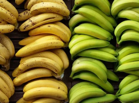 Los plátanos verdes o maduros cuáles son más sanos 1 plátanos