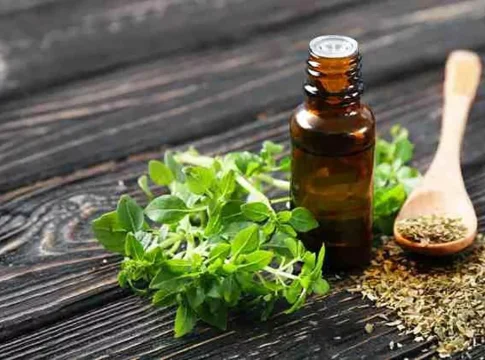 Mejora-tu-salud-y-previene-enfermedades-con-una-sola-hoja-de-esta-planta Mejora tu salud y previene enfermedades con una sola hoja de esta planta