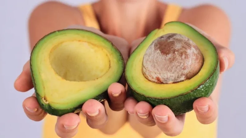 agucacate rico Merca2.es