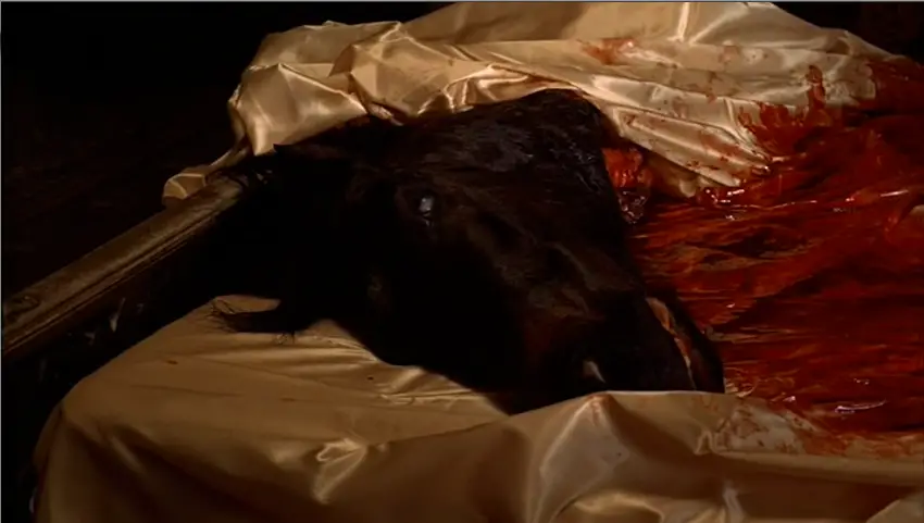 Cómo American Psycho: estás 3 películas utilizaron partes de cuerpos reales para sus icónicas escenas 2 Merca2.es Los directores que tomaron la decisión de utilizar partes reales de cuerpos de seres vivos