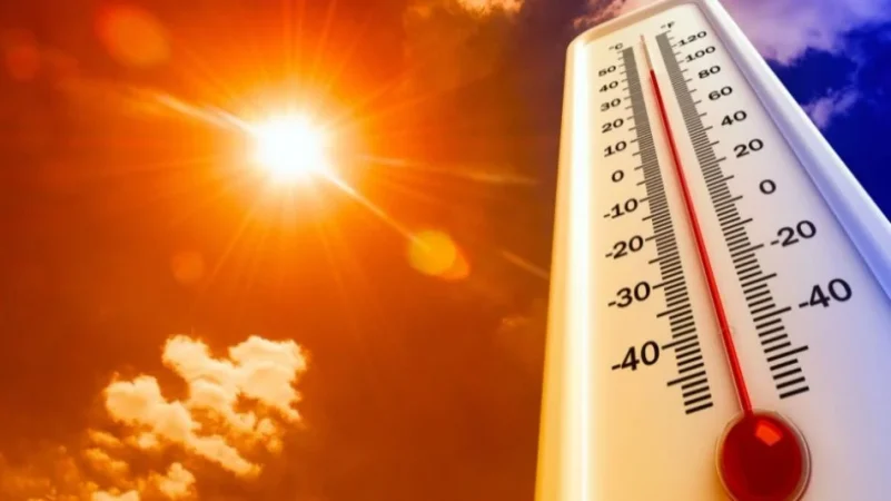 Combate el calor extremo y la insolación con este truco milenario