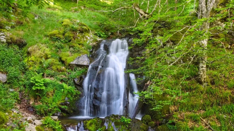 ezcaray la rioja 990x557 1 Merca2.es